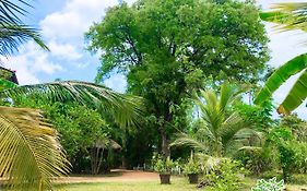 The Green Garden