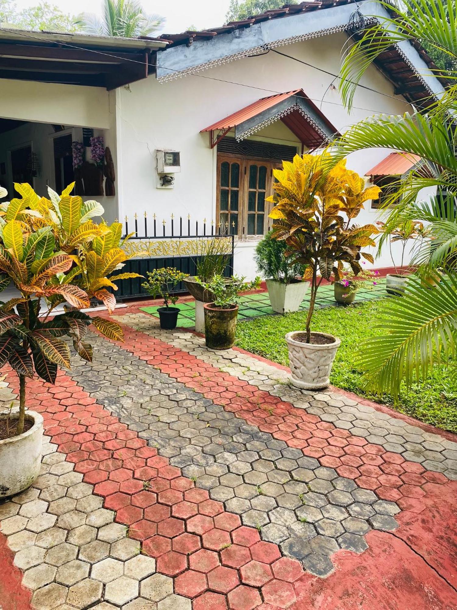 The Green Garden Dambulla Exterior photo