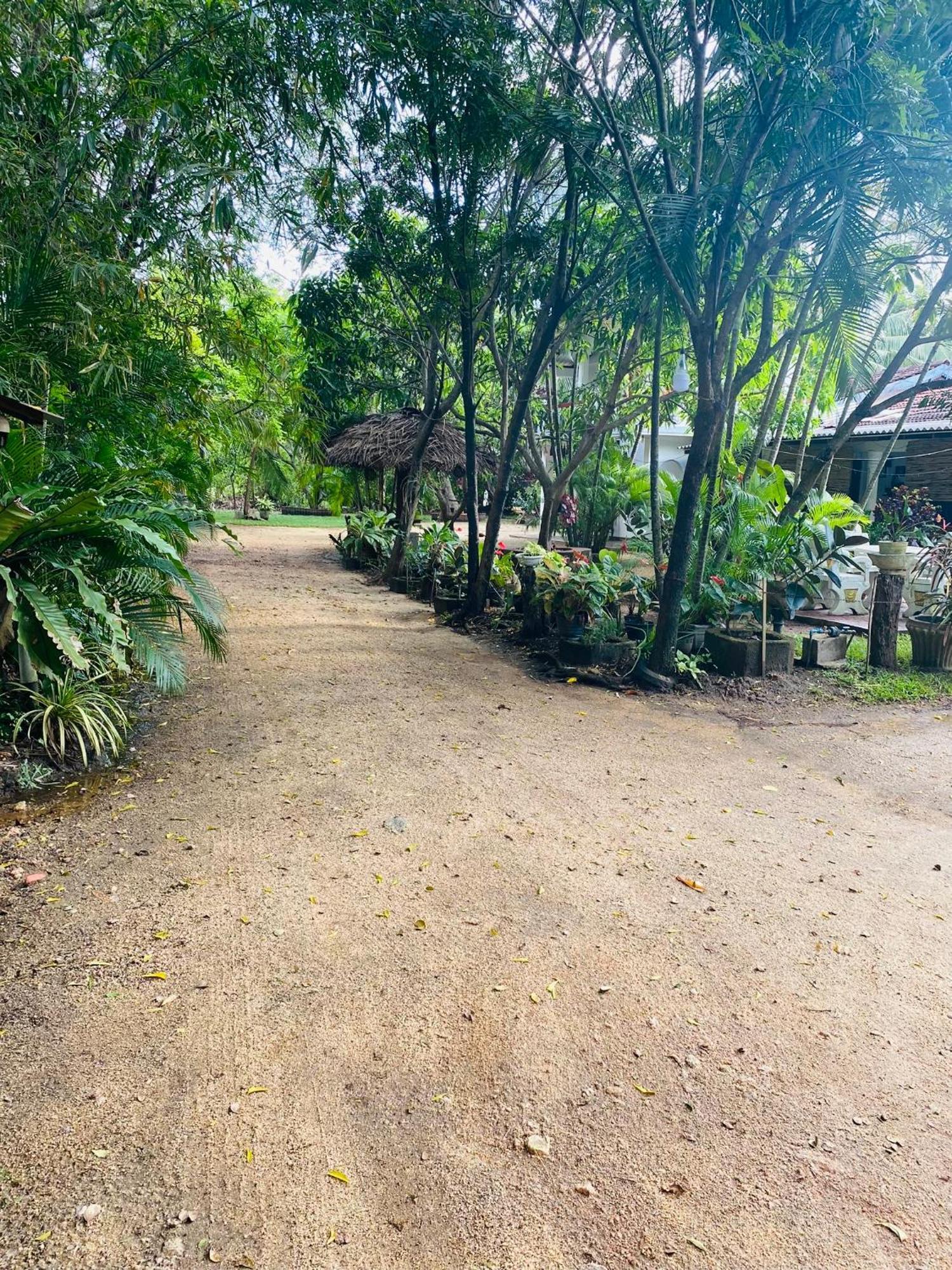 The Green Garden Dambulla Exterior photo