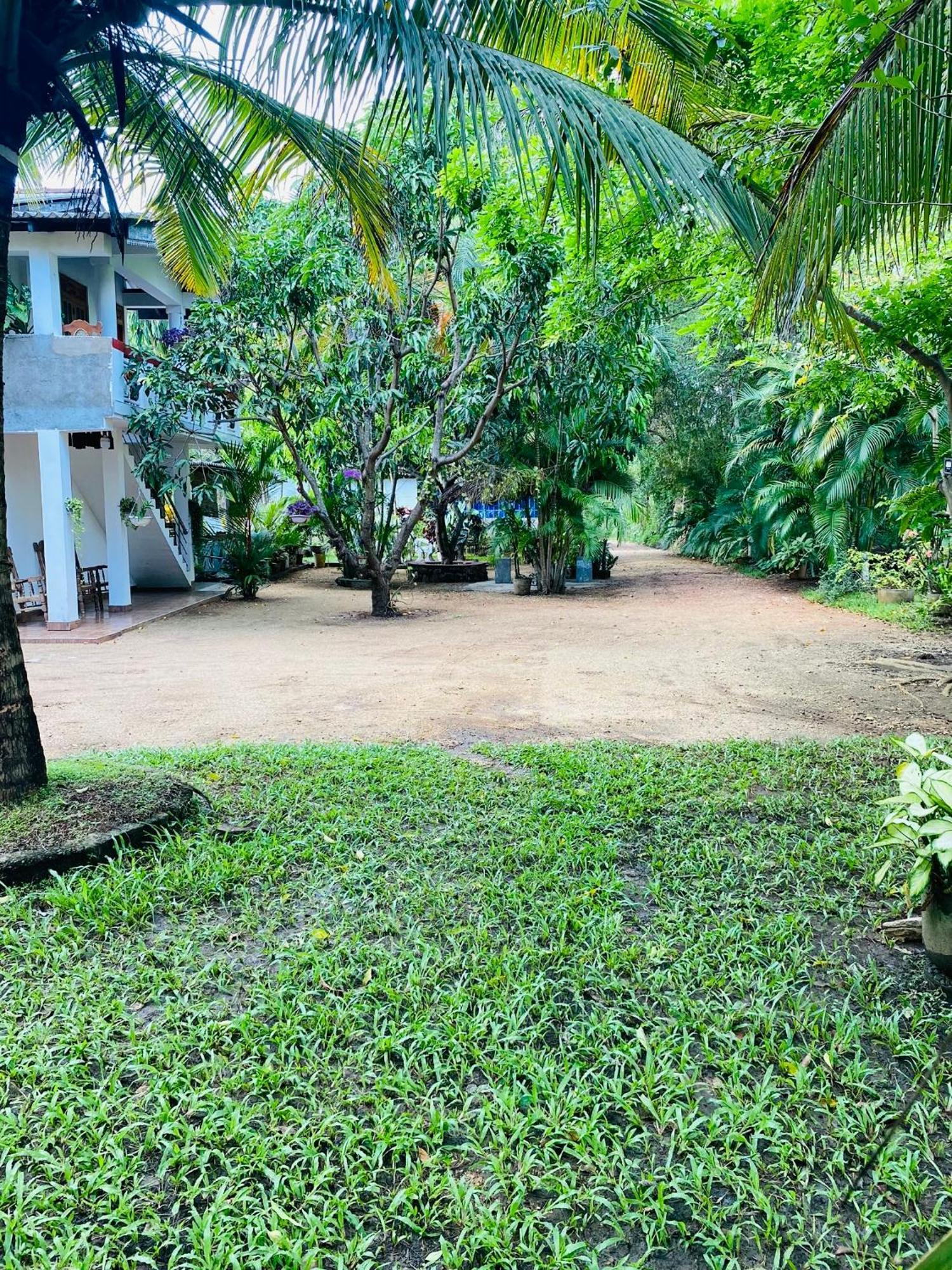 The Green Garden Dambulla Exterior photo
